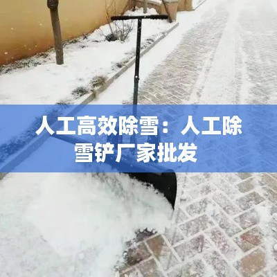 人工高效除雪：人工除雪铲厂家批发 