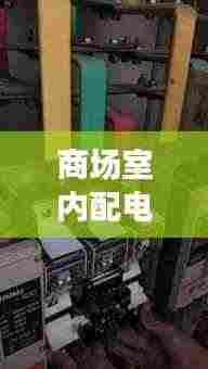 笼鸟槛猿 第4页