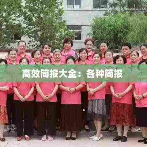 高效简报大全:各种简报