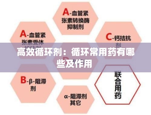 高效循环剂:循环常用药有哪些及作用