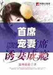 首席宠妻独家宠爱:独家宠婚:首席掠妻成瘾 小说