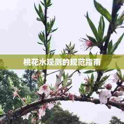 吉光片羽 第4页