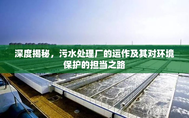 深度揭秘,污水处理厂的运作及其对环境保护的担当之路