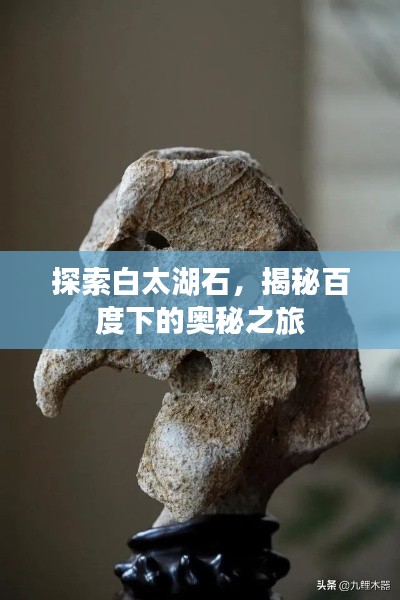 探索白太湖石,揭秘百度下的奥秘之旅