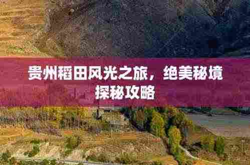 贵州稻田风光之旅，绝美秘境探秘攻略