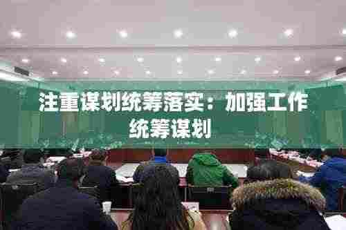 注重谋划统筹落实:加强工作统筹谋划