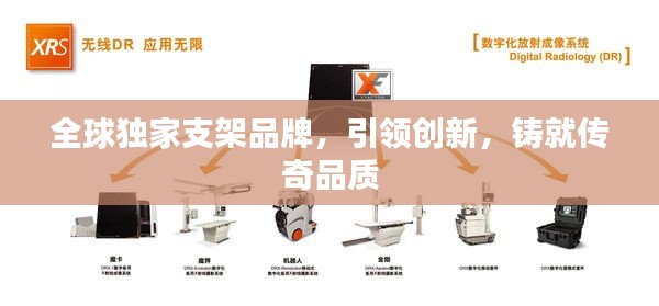 全球独家支架品牌,引领创新,铸就传奇品质