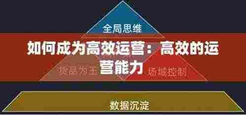 如何成为高效运营：高效的运营能力 
