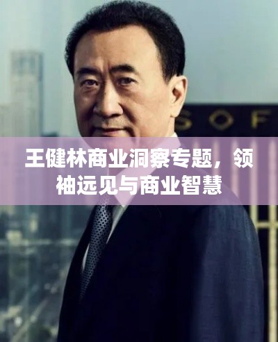 王健林商业洞察专题,领袖远见与商业智慧