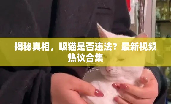 揭秘真相，吸猫是否违法？最新视频热议合集