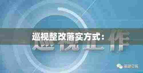 巡视整改落实方式: