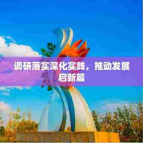 调研落实深化实践,推动发展启新篇