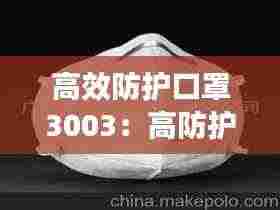 高效防护口罩3003:高防护口罩是什么样的