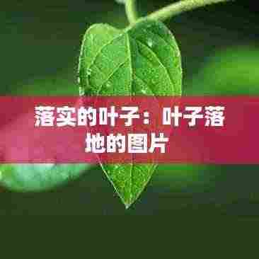 美如冠玉 第4页