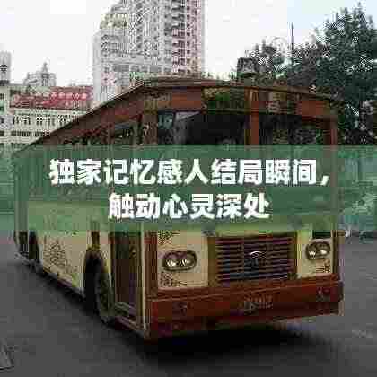 独家记忆感人结局瞬间,触动心灵深处