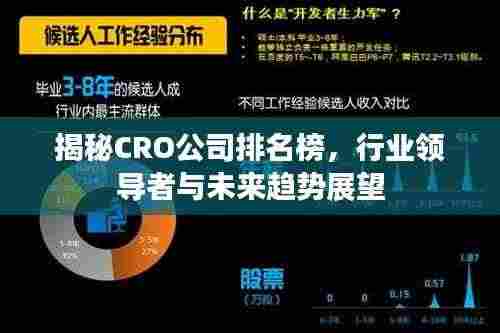 揭秘CRO公司排名榜，行业领导者与未来趋势展望