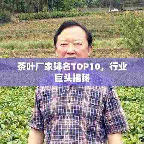 茶叶厂家排名TOP10,行业巨头揭秘