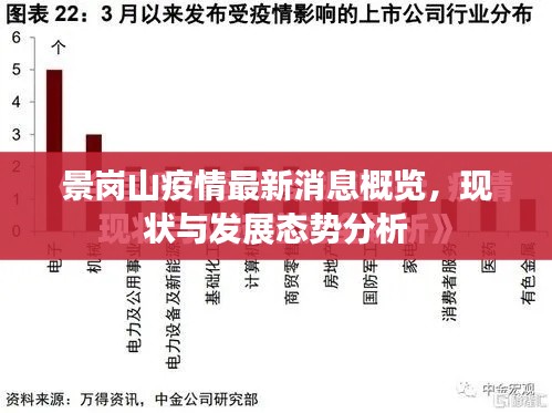 景岗山疫情最新消息概览,现状与发展态势分析