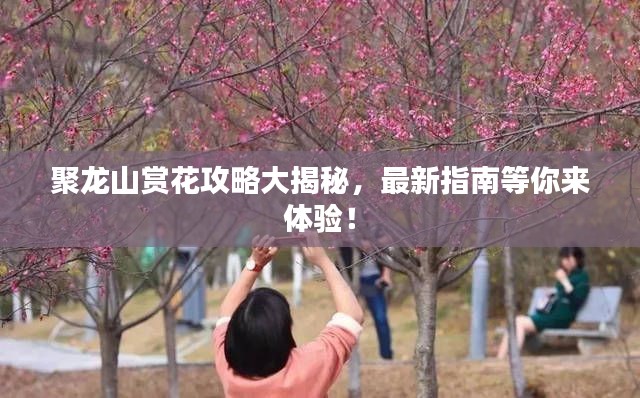 聚龙山赏花攻略大揭秘,最新指南等你来体验!