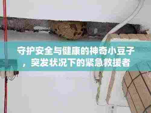 守护安全与健康的神奇小豆子,突发状况下的紧急救援者