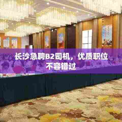 长沙急聘B2司机,优质职位不容错过