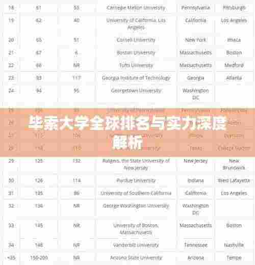 毕索大学全球排名与实力深度解析