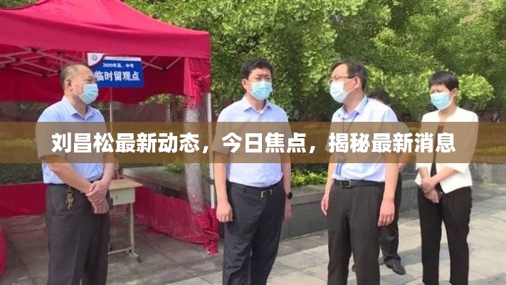 刘昌松最新动态，今日焦点，揭秘最新消息