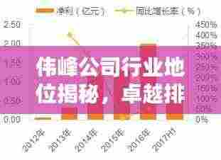 伟峰公司行业地位揭秘，卓越排名引领业界风向标