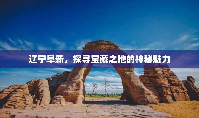 辽宁阜新,探寻宝藏之地的神秘魅力