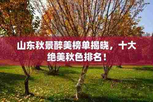 山东秋景醉美榜单揭晓，十大绝美秋色排名！