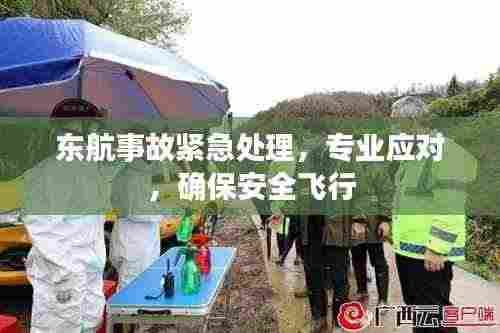 东航事故紧急处理，专业应对，确保安全飞行