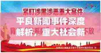 平良新闻事件深度解析，重大社会新闻背后的真相