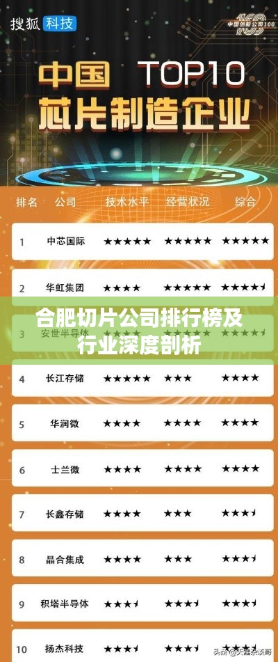 合肥切片公司排行榜及行业深度剖析
