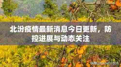北汾疫情最新消息今日更新，防控进展与动态关注