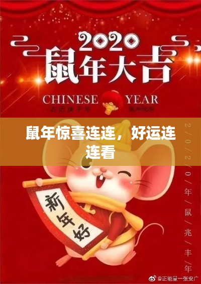 鼠年惊喜连连，好运连连看