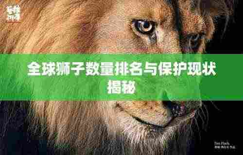 全球狮子数量排名与保护现状揭秘