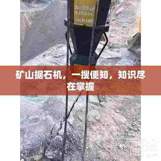 矿山据石机，一搜便知，知识尽在掌握