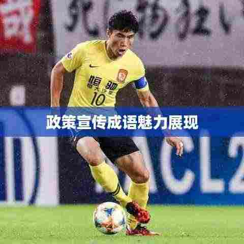 政策宣传成语魅力展现