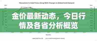 金价最新动态,今日行情及各省分析概览