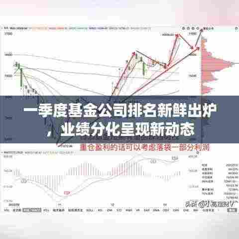一季度基金公司排名新鲜出炉，业绩分化呈现新动态
