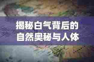 螓首蛾眉 第3页