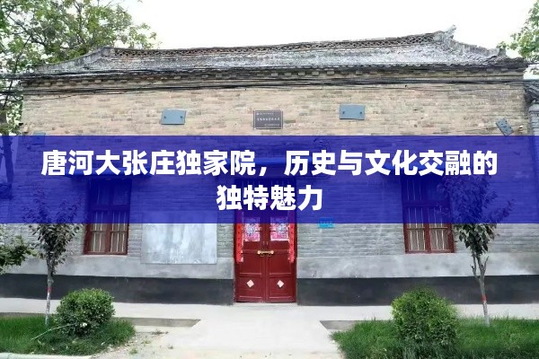 唐河大张庄独家院,历史与文化交融的独特魅力