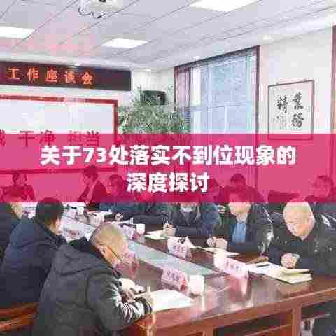 关于73处落实不到位现象的深度探讨