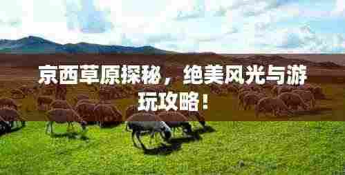 京西草原探秘,绝美风光与游玩攻略!