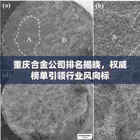 重庆合金公司排名揭晓,权威榜单引领行业风向标