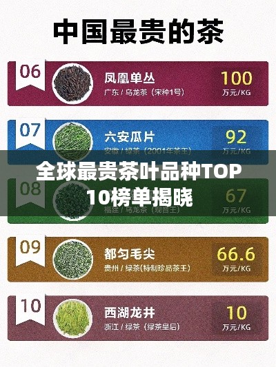 矫揉造作 第2页