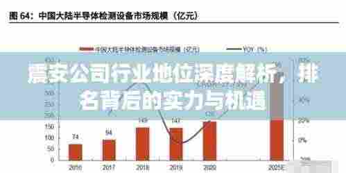 震安公司行业地位深度解析，排名背后的实力与机遇