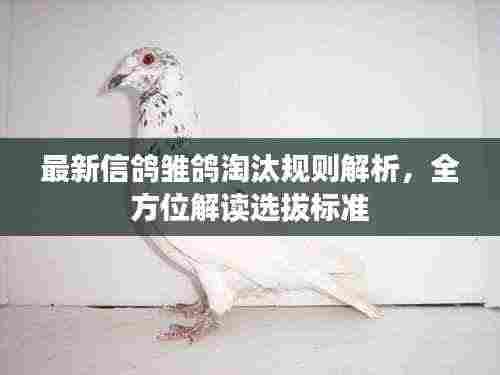最新信鸽雏鸽淘汰规则解析，全方位解读选拔标准