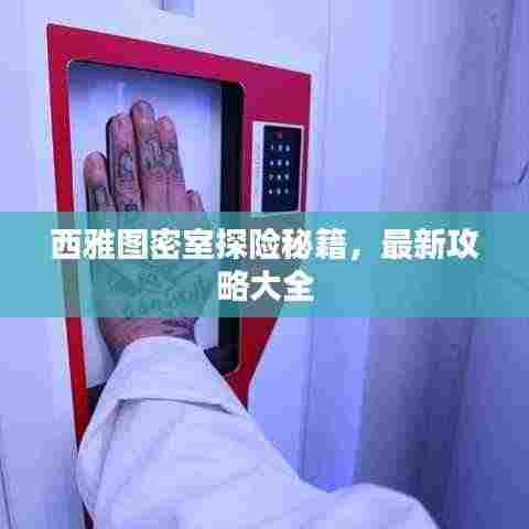 西雅图密室探险秘籍，最新攻略大全