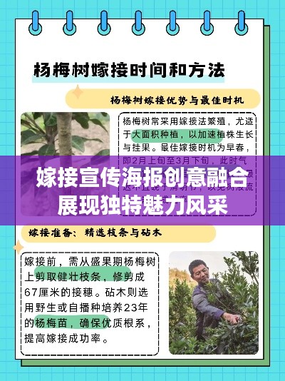 嫁接宣传海报创意融合展现独特魅力风采